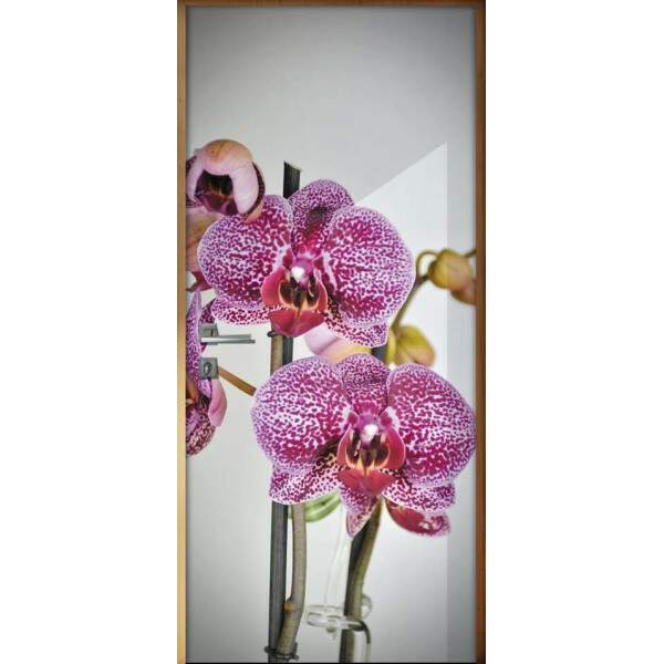 Adesivo para Porta Florais Flor de Orqudea