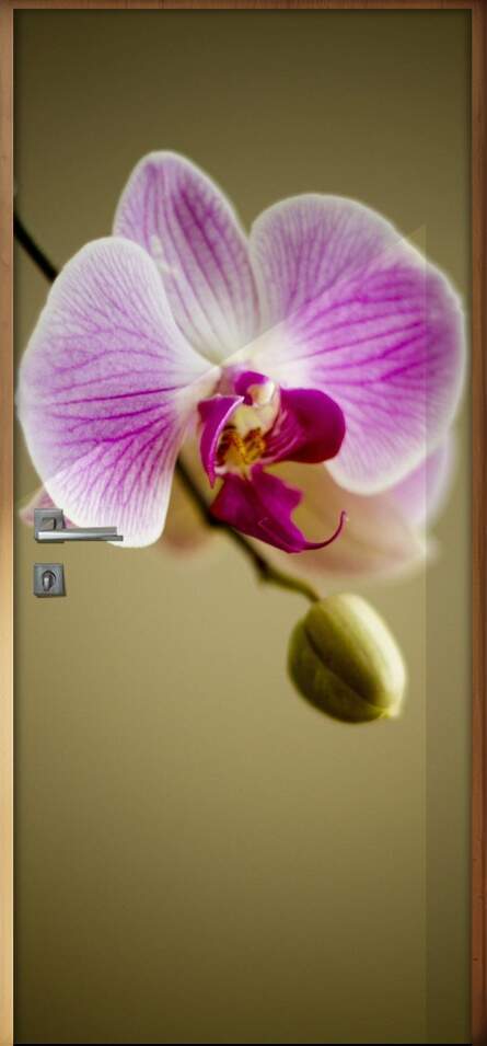 Adesivo para Porta Florais Flor de Orqudea 02