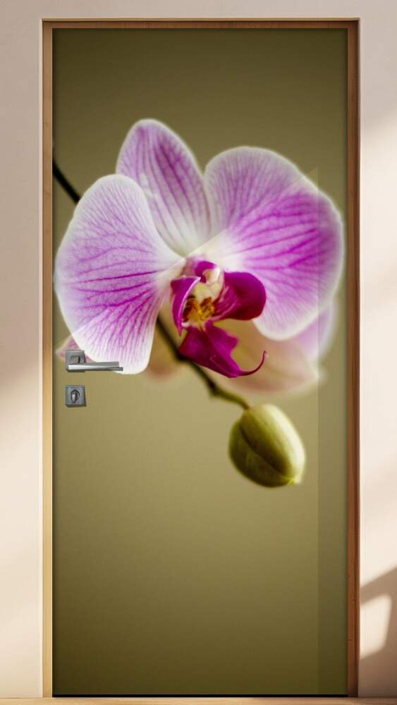 Adesivo para Porta Florais Flor de Orqu�dea 02