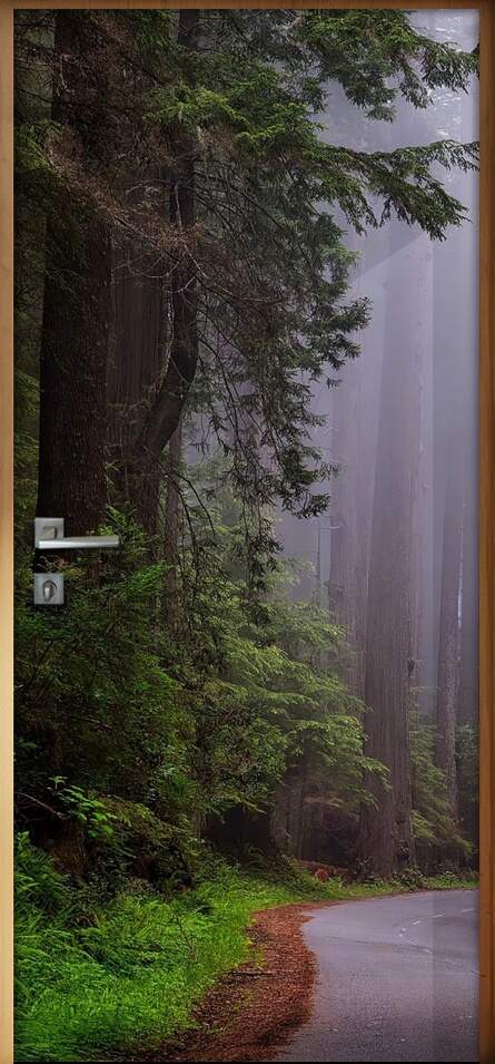 Adesivo para Porta Parque Nacional EUA
