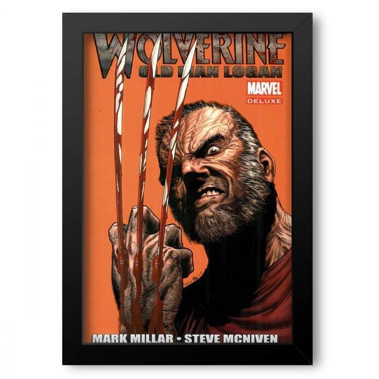 Quadro Decorativo Heris Wolverine HQ