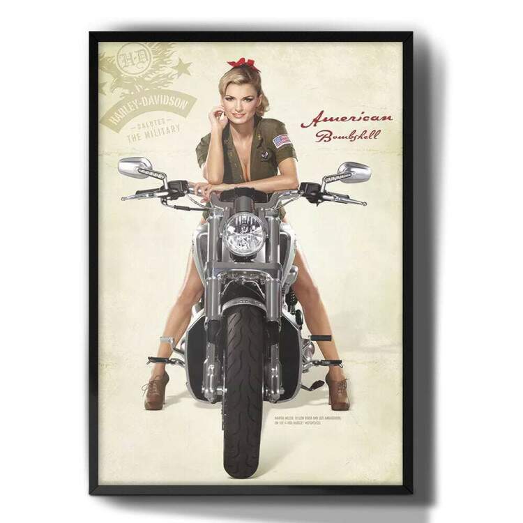 Quadro Decorativo Vintage 02