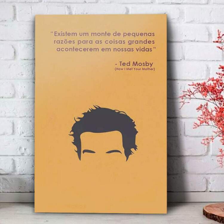 Quadro Decorativo How I Met Your Mother Ted Mosby