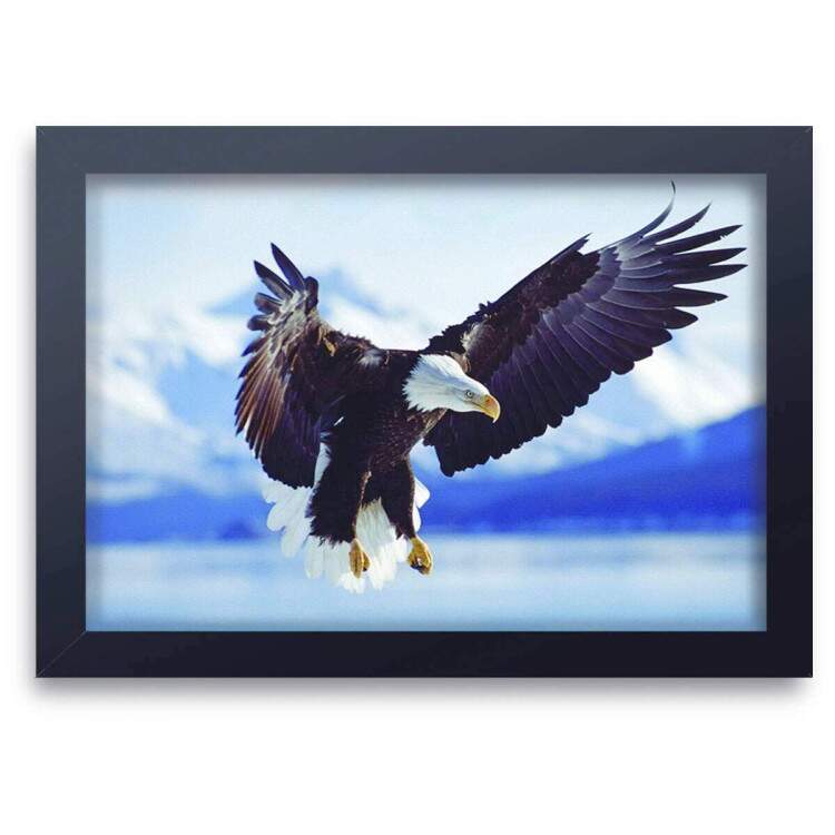 Quadro Decorativo Animais 25 - guia