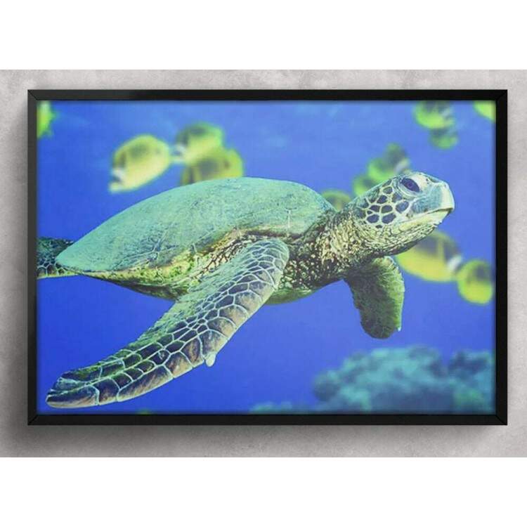 Quadro Decorativo Animais 42 - Tartaruga