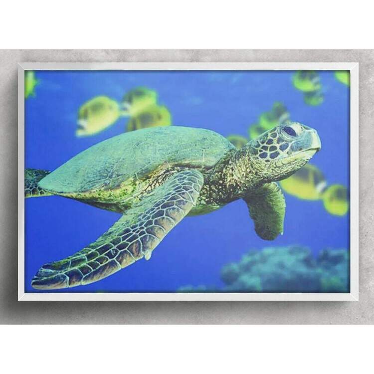 Quadro Decorativo Animais 42 - Tartaruga