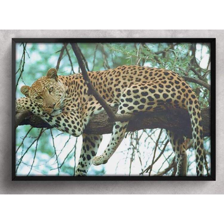 Quadro Decorativo Animais 66 - Ona Pintada