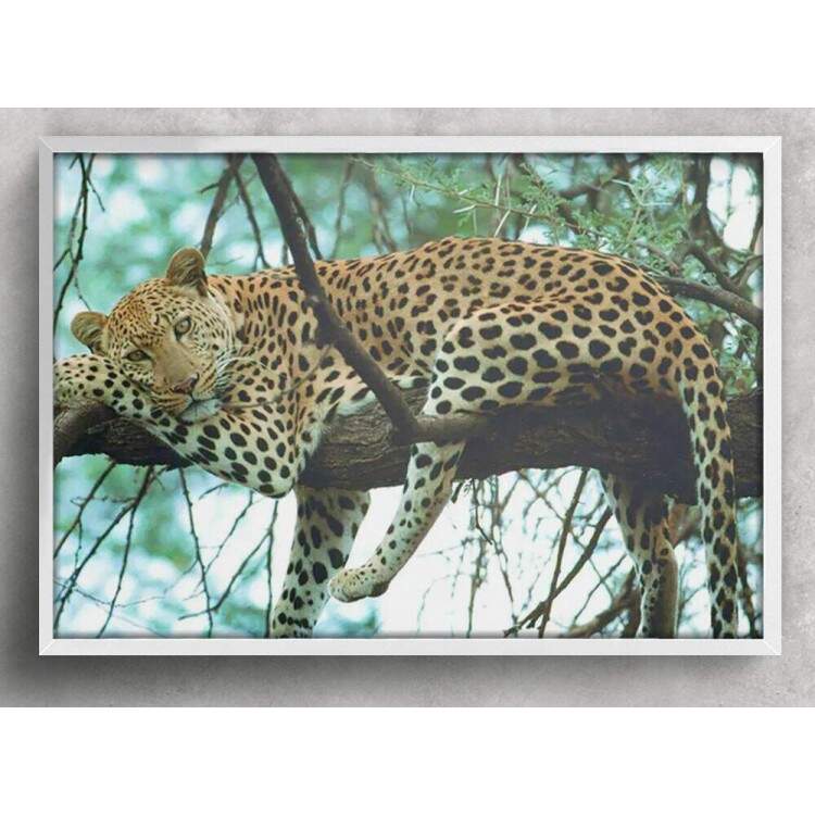 Quadro Decorativo Animais 66 - Ona Pintada