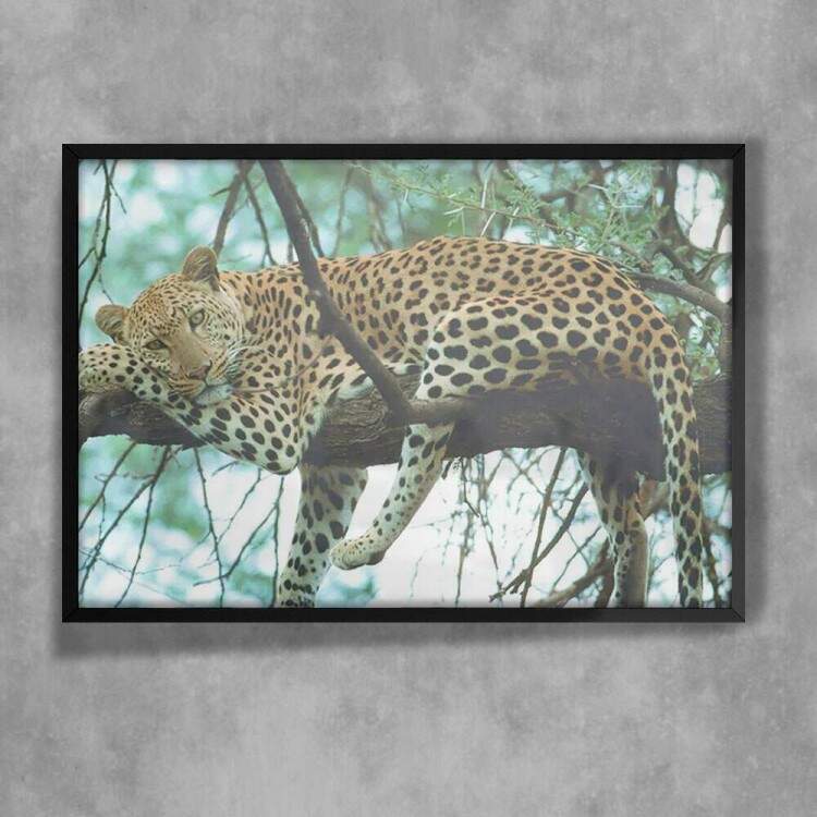 Quadro Decorativo Animais 66 - Ona Pintada