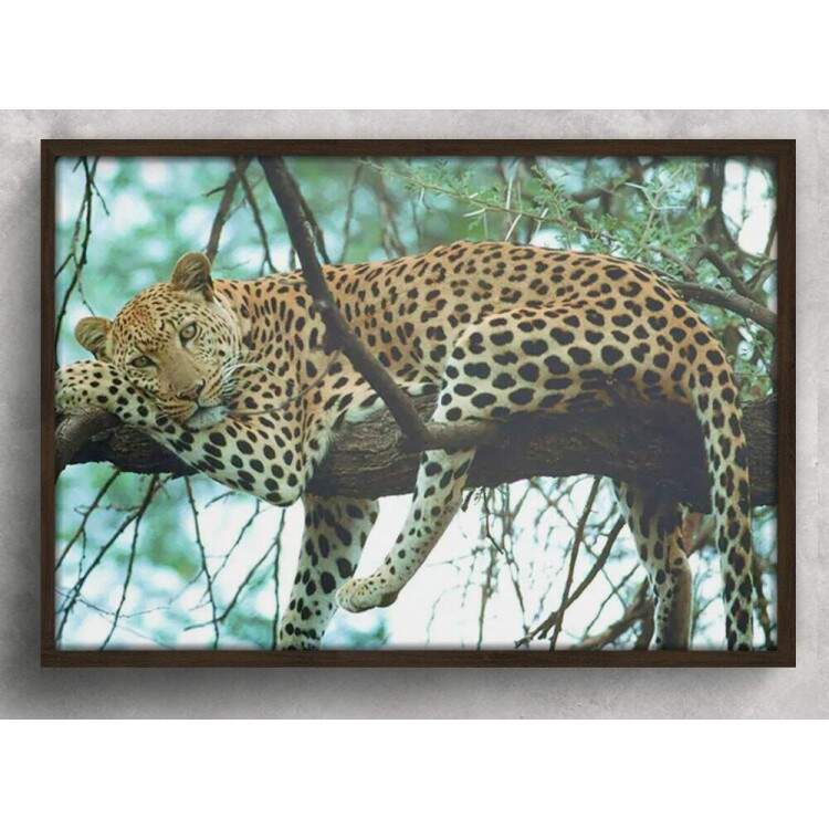 Quadro Decorativo Animais 66 - Ona Pintada