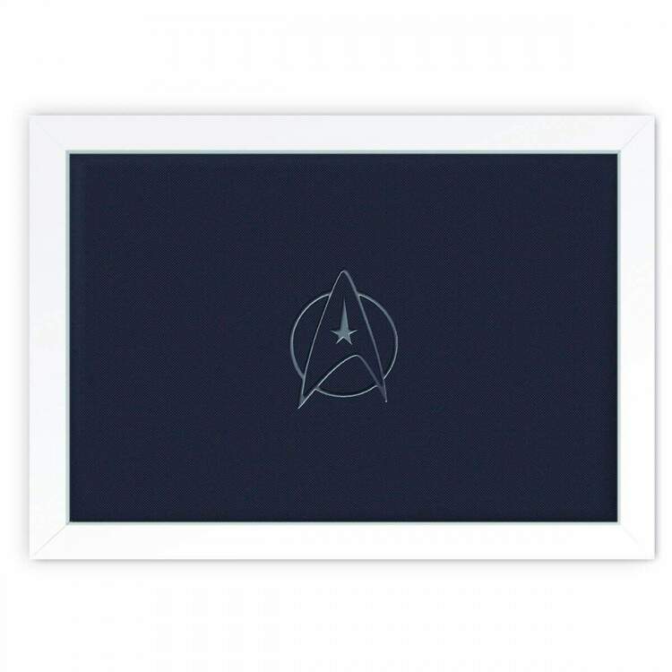 Quadro Decorativo Star Trek 08