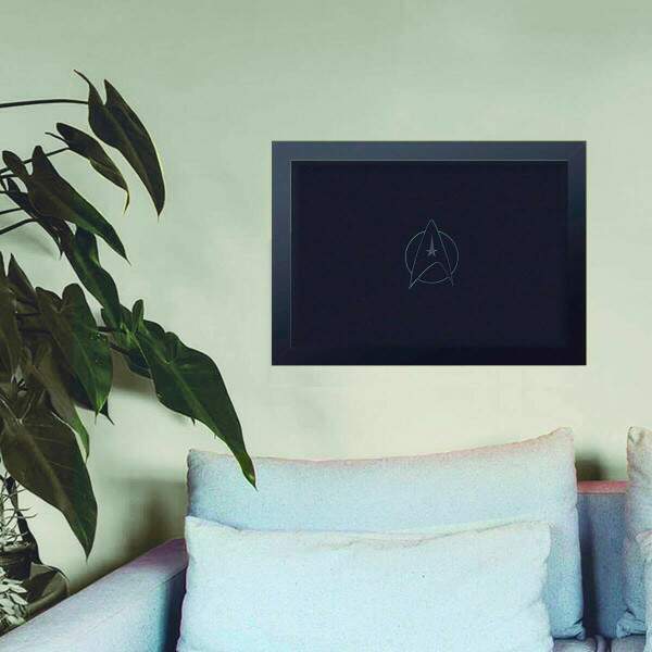 Quadro Decorativo Star Trek 08