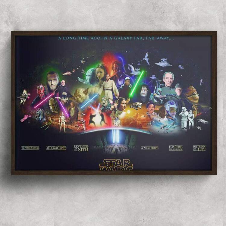 Quadro Decorativo Star Wars 08