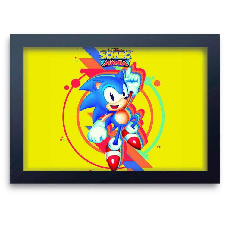 Quadro Decorativo Sonic 02