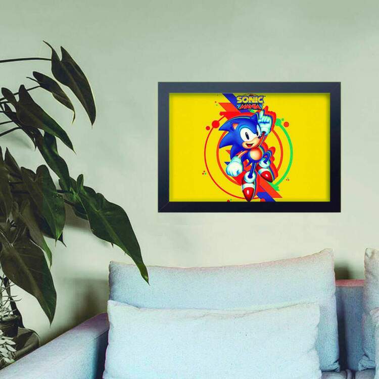 Quadro Decorativo Sonic 02