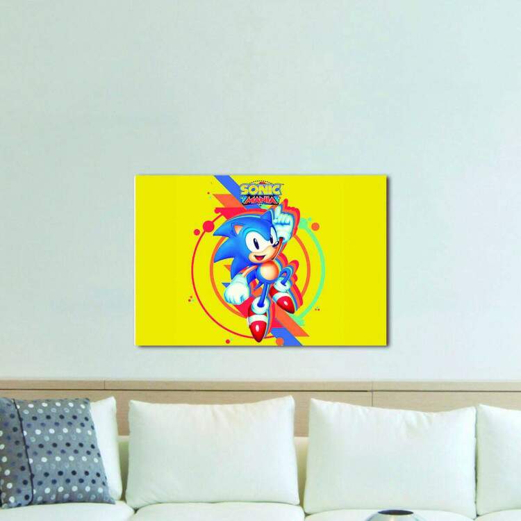 Quadro Decorativo Sonic 02