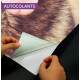 Adesivo Para Porta Animais Pastor Alem�o Mod. 20