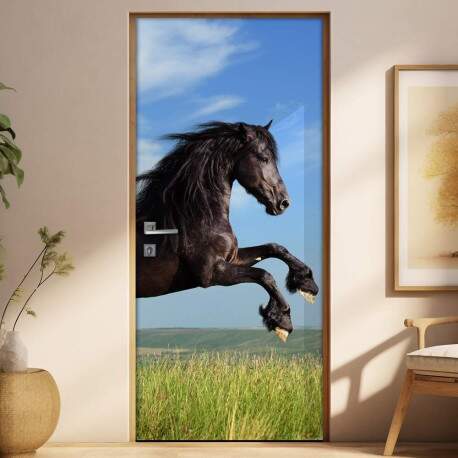 Adesivo Para Porta Animais Cavalo 5 Mod. 22