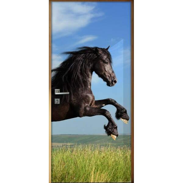 Adesivo Para Porta Animais Cavalo 5 Mod. 22
