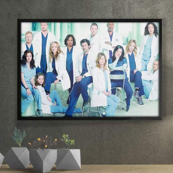 Quadro Decorativo Greys Anatomy 01