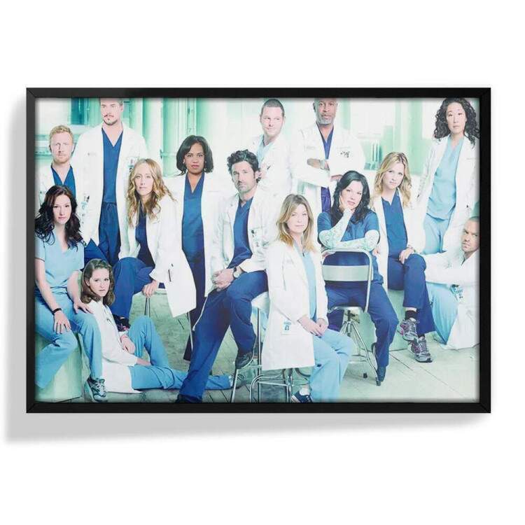 Quadro Decorativo Greys Anatomy 01