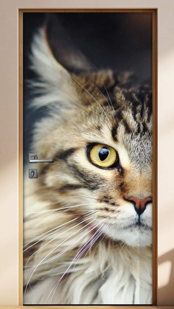 Adesivo Para Porta Animais Gato Selvagem