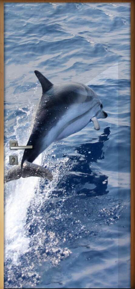 Adesivo Para Porta Animais Golfinho