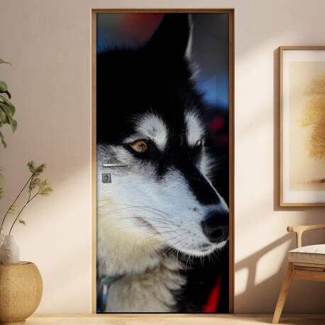 Adesivo Para Porta Animais Lobo