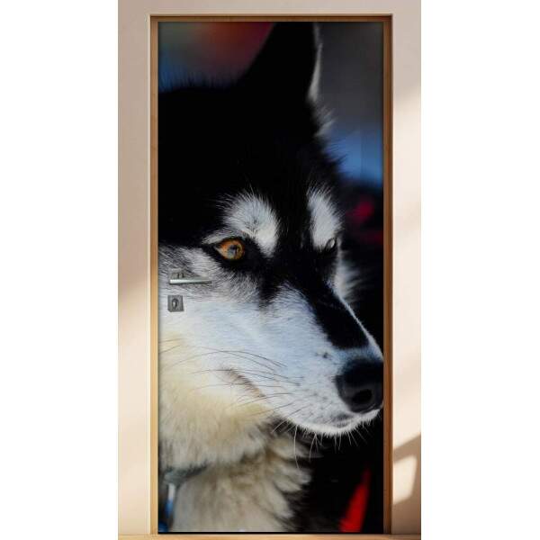 Adesivo Para Porta Animais Lobo