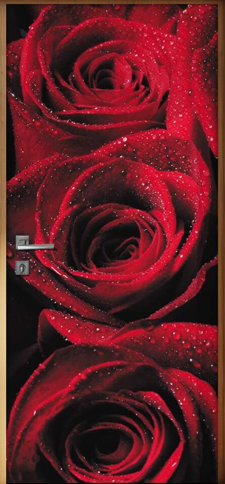 Adesivo Para Porta Florais Rosas