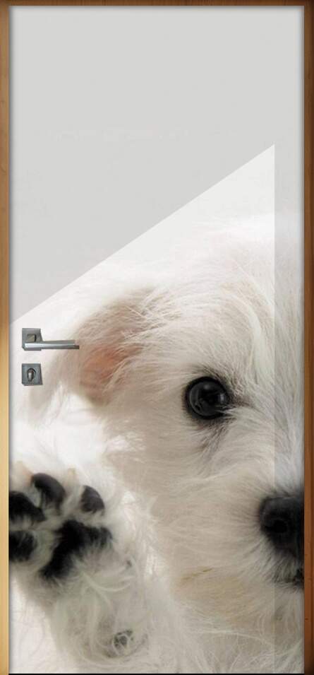 Adesivo Para Porta Animais Cachorrinho