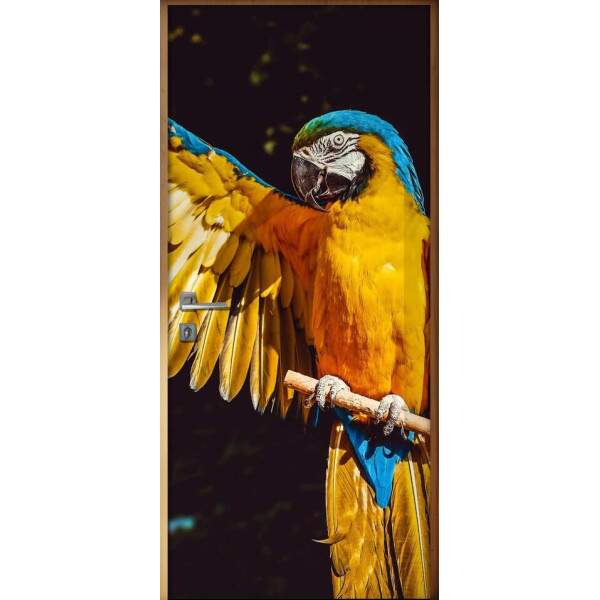 Adesivo Para Porta Animais Arara No Galho
