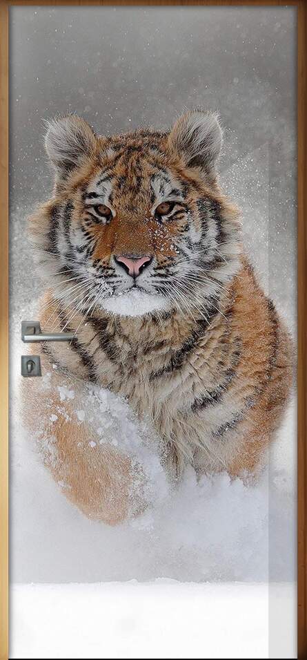 Adesivo Para Porta Animais Tigre Na Neve
