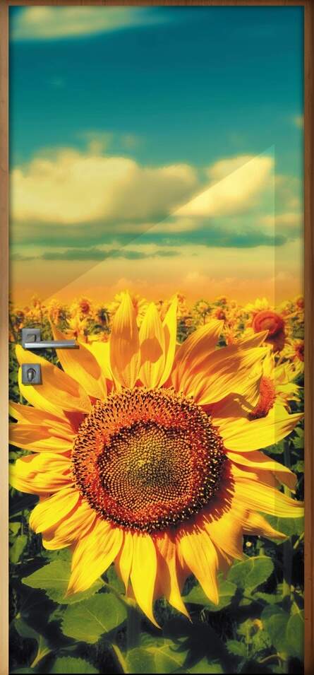 Adesivo para Porta Florais Girass�is