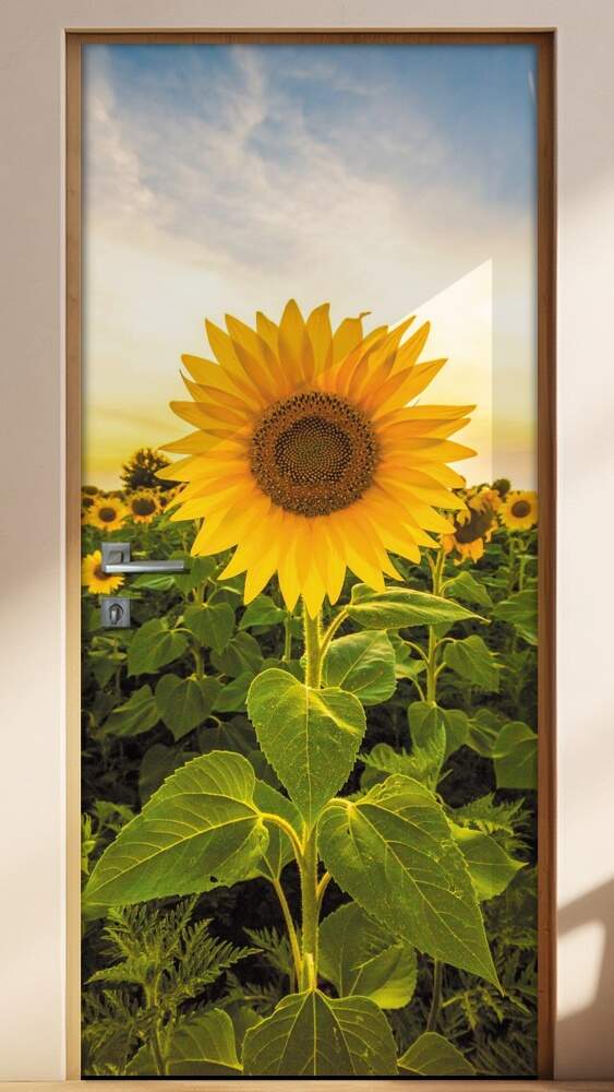 Adesivo para Porta Girassol no Campo