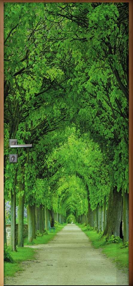 Adesivo Para Porta Caminho Dentro Da Floresta 02