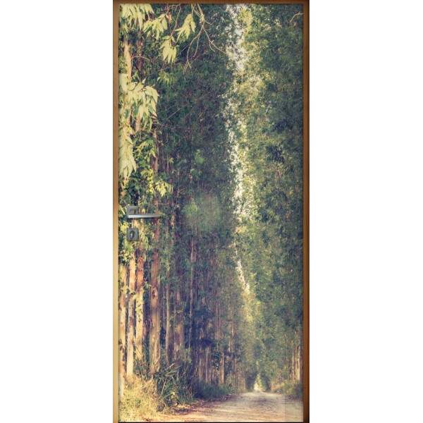 Adesivo Para Porta Caminho Dentro Da Floresta