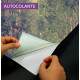 Adesivo Para Porta Caminho Dentro Da Floresta