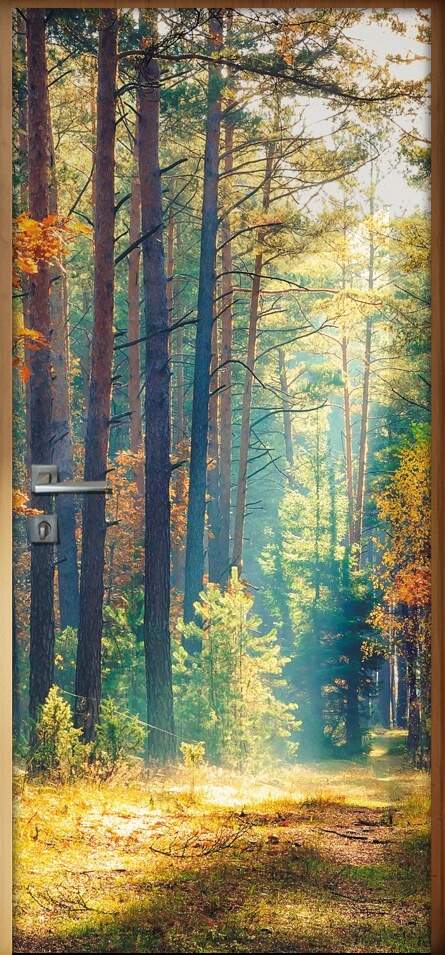 Adesivo para Porta Paisagem 99 Dentro da Floresta