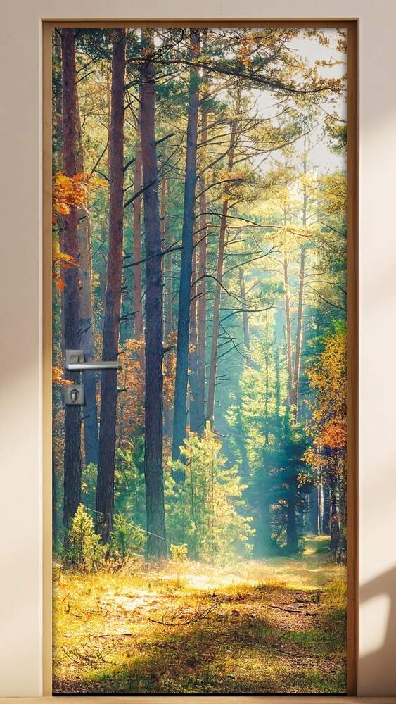 Adesivo para Porta Paisagem 99 Dentro da Floresta