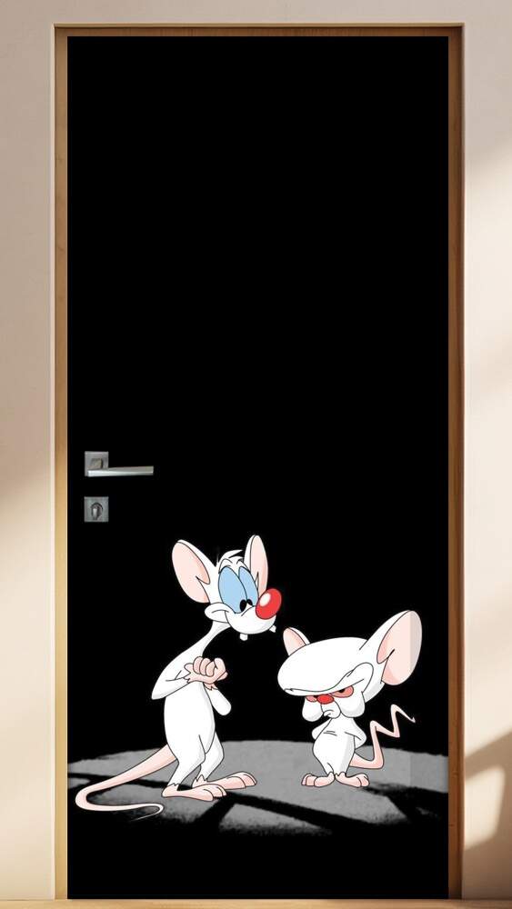 Adesivo para Porta Pink e C�rebro