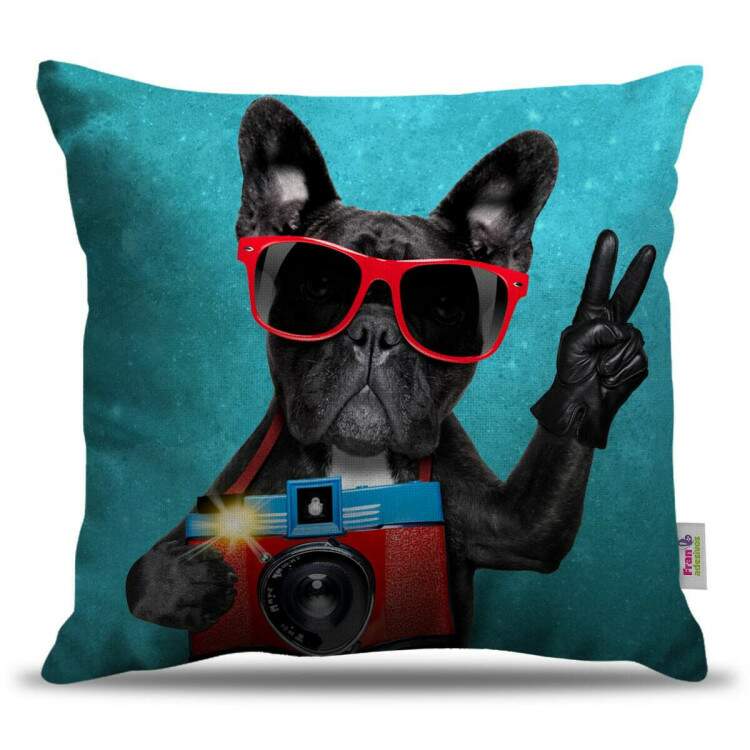 Almofada Decorativa Cachorro Fotografo