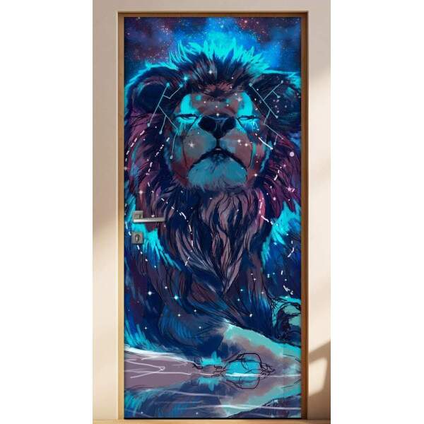 Adesivo para Porta Leo Galxia