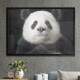 Quadro Decorativo Panda