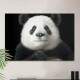 Quadro Decorativo Panda
