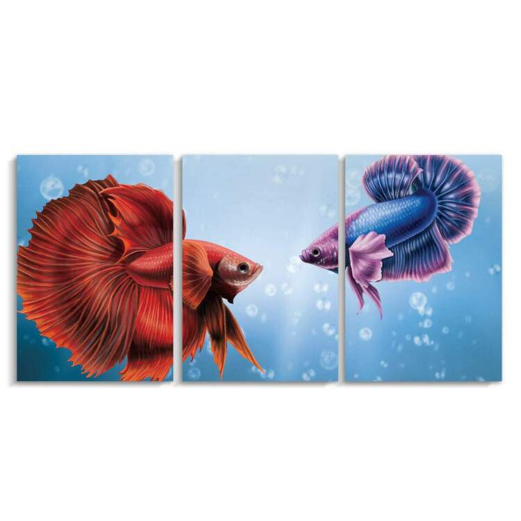 Kit 3 Quadros Decorativos Peixes Coloridos