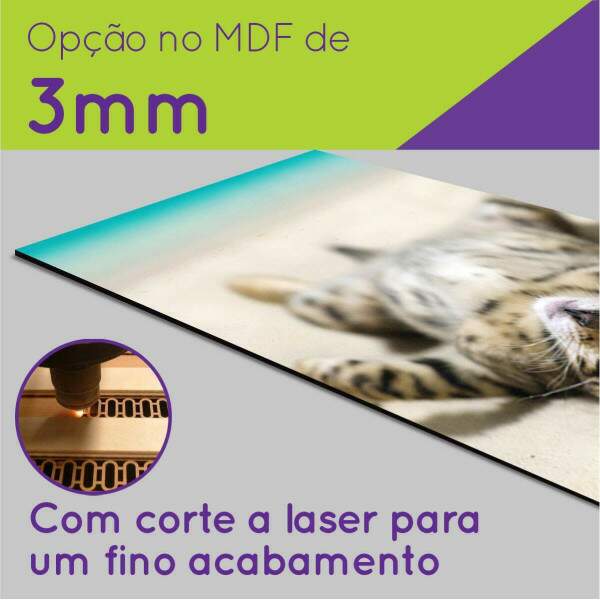 Kit Quadros Decorativos Mosaico Gatinho na Praia