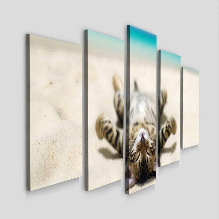 Kit 5 Quadros Decorativos Mosaico Gatinho na Praia