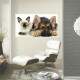 Painel Fotogr�fico Adesivo Cachorro e Gato modelo 05
