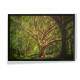 Quadro Decorativo Pintura de �rvore Grande